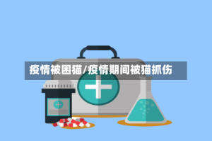 疫情被困猫/疫情期间被猫抓伤