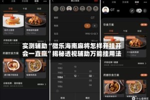 实测辅助“微乐海南麻将怎样开挂开会一直赢”揭秘透视辅助万能挂用法