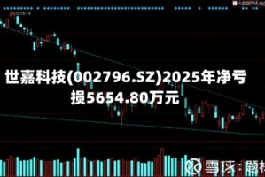 世嘉科技(002796.SZ)2025年净亏损5654.80万元