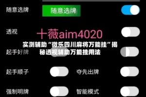 实测辅助“微乐四川麻将万能挂”揭秘透视辅助万能挂用法