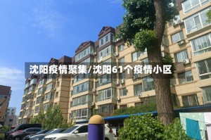 沈阳疫情聚集/沈阳61个疫情小区