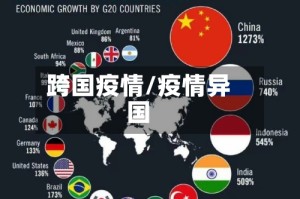 跨国疫情/疫情异国
