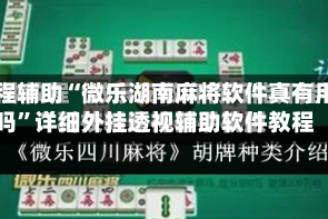 教程辅助“微乐湖南麻将软件真有用吗”详细外挂透视辅助软件教程
