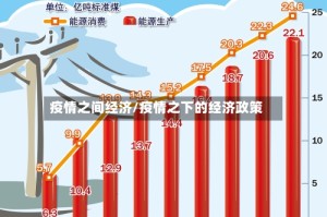 疫情之间经济/疫情之下的经济政策