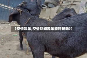 【疫情喂羊,疫情期间养羊能赚钱吗?】
