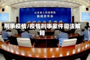 刑事疫情/疫情刑事案件司法解释