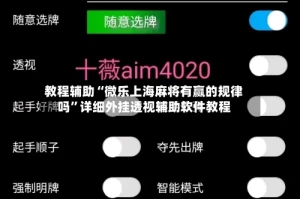 教程辅助“微乐上海麻将有赢的规律吗”详细外挂透视辅助软件教程