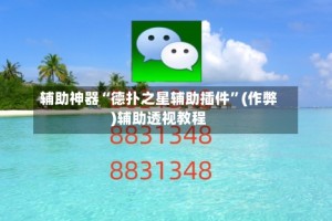 辅助神器“德扑之星辅助插件”(作弊)辅助透视教程