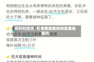 喂狗和疫情/疫情期间宠物狗需要隔离吗