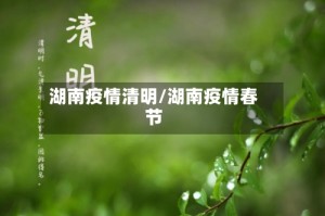 湖南疫情清明/湖南疫情春节