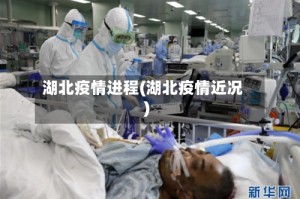 湖北疫情进程(湖北疫情近况)