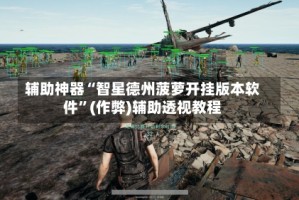 辅助神器“智星德州菠萝开挂版本软件”(作弊)辅助透视教程