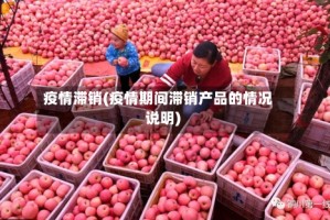 疫情滞销(疫情期间滞销产品的情况说明)