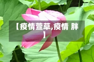 【疫情萱草,疫情 胖】