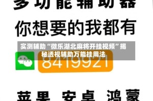实测辅助“微乐湖北麻将开挂视频”揭秘透视辅助万能挂用法