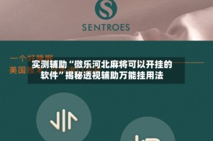 实测辅助“微乐河北麻将可以开挂的软件”揭秘透视辅助万能挂用法