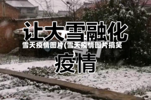 雪天疫情图片(雪天疫情图片搞笑)