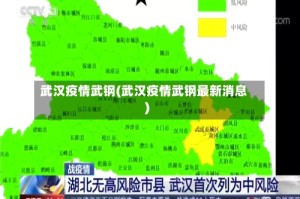 武汉疫情武钢(武汉疫情武钢最新消息)