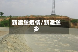 新添堡疫情/新添堡乡
