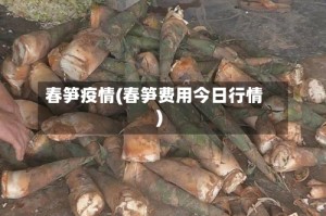 春笋疫情(春笋费用今日行情)