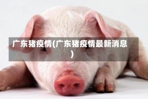 广东猪疫情(广东猪疫情最新消息)