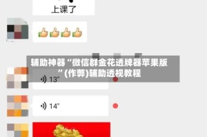 辅助神器“微信群金花透牌器苹果版”(作弊)辅助透视教程