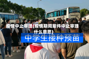 疫情中止审理(疫情期间案件中止审理什么意思)