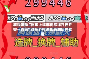 教程辅助“微乐上海麻将怎样开挂开会一直赢”详细外挂透视辅助软件教程