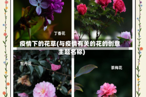 疫情下的花草(与疫情有关的花的创意主题名称)