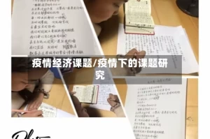 疫情经济课题/疫情下的课题研究