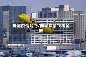 美国疫情起飞/美国疫情飞机坠毁