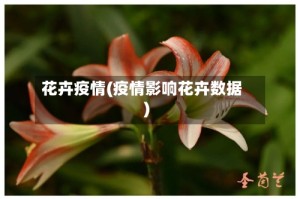 花卉疫情(疫情影响花卉数据)