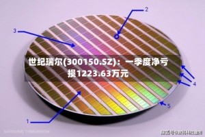 世纪瑞尔(300150.SZ)：一季度净亏损1223.63万元