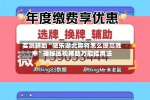 实测辅助“微乐湖北麻将怎么提高胜率”揭秘透视辅助万能挂用法