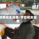 疫情枪支检查/节前枪支检查