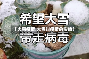 【大雪疫情,大雪对疫情的影响】