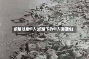 疫情过后华人(疫情下的华人回国难)
