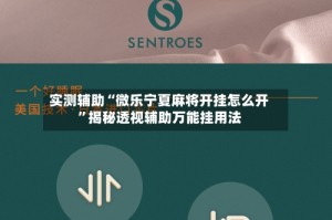 实测辅助“微乐宁夏麻将开挂怎么开”揭秘透视辅助万能挂用法