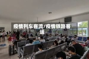 疫情列车客流/疫情铁路客运