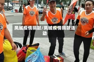 凤城疫情捐款/凤城疫情捐款活动