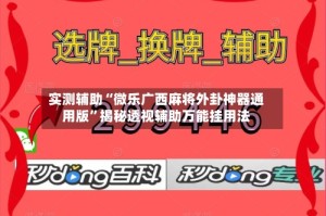 实测辅助“微乐广西麻将外卦神器通用版”揭秘透视辅助万能挂用法