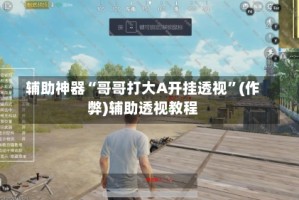 辅助神器“哥哥打大A开挂透视”(作弊)辅助透视教程
