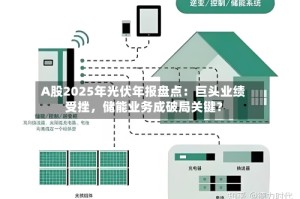 A股2025年光伏年报盘点：巨头业绩受挫，储能业务成破局关键？