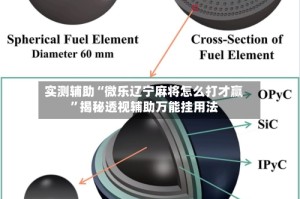 实测辅助“微乐辽宁麻将怎么打才赢”揭秘透视辅助万能挂用法