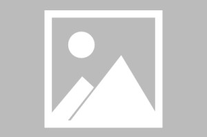 乌海疫情捐赠/乌海发现新冠