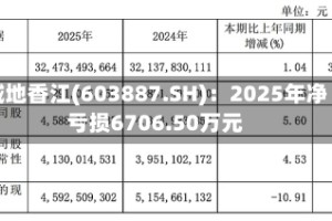 城地香江(603887.SH)：2025年净亏损6706.50万元