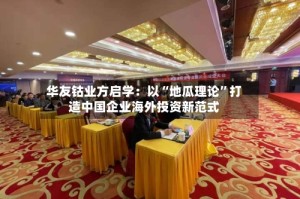 华友钴业方启学：以“地瓜理论”打造中国企业海外投资新范式