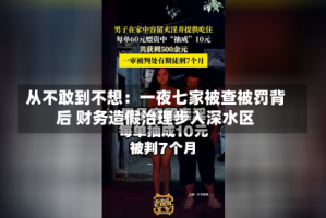 从不敢到不想：一夜七家被查被罚背后 财务造假治理步入深水区