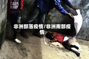 非洲部落疫情/非洲南部疫情