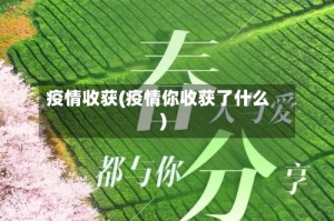 疫情收获(疫情你收获了什么)